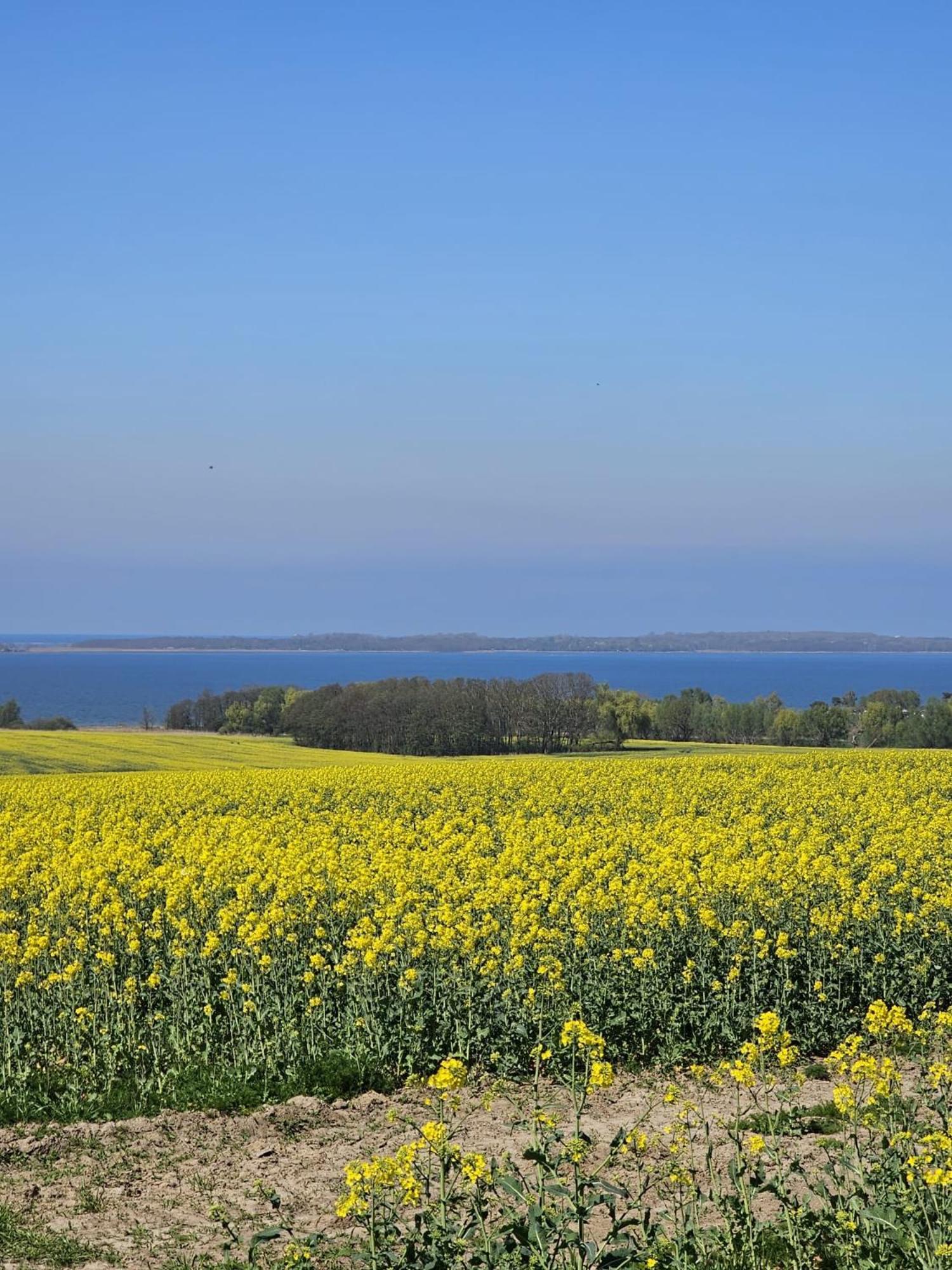 Ferienhaus - 135 Qm - Naehe Insel Poel Ostsee Damekow Eksteriør billede