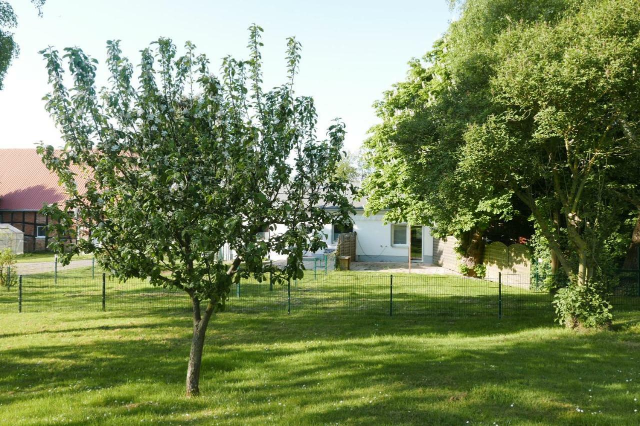 Ferienhaus - 135 Qm - Naehe Insel Poel Ostsee Damekow Eksteriør billede